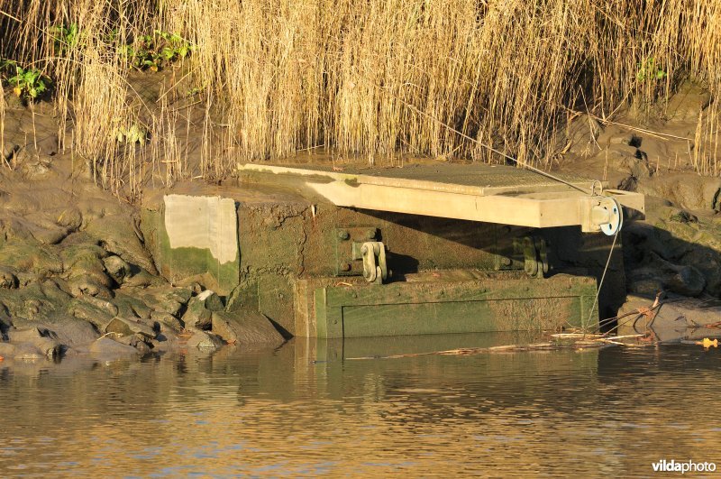 Overstort op de Schelde