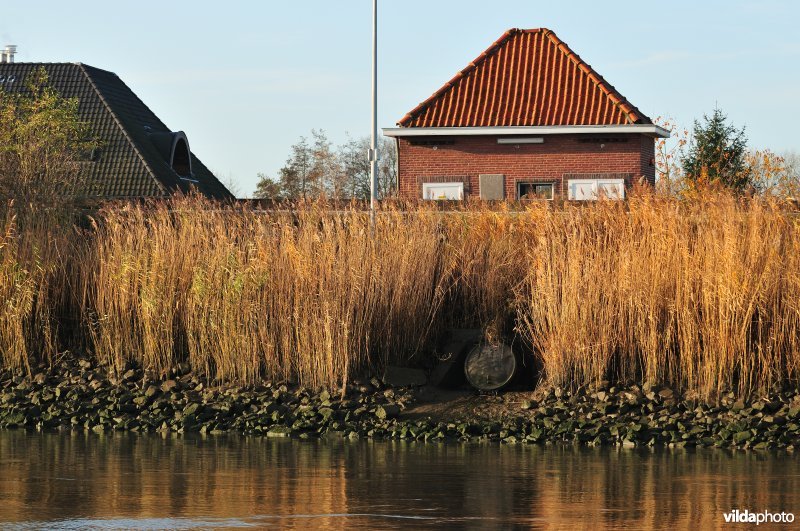 Overstort op de Schelde