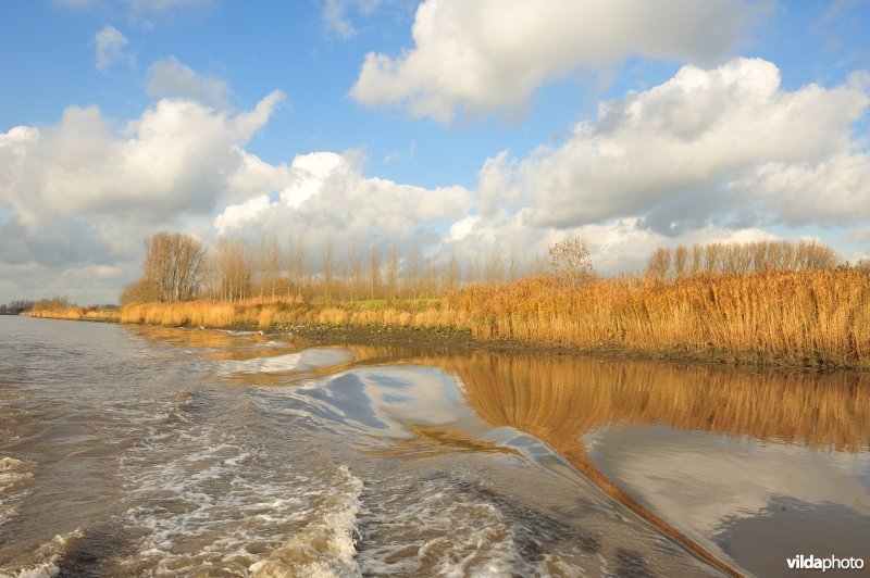 Golfslag door een boot