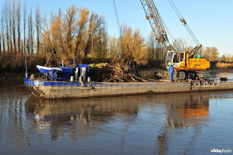 Ruimingsboot op de Schelde