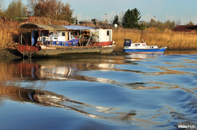 Plezierbootje op de Schelde