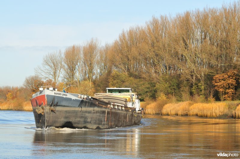 Vrachtboot op de Schelde