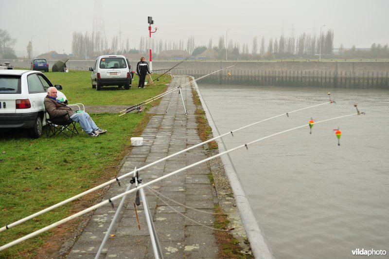 Vissers in de haven van Antwerpen