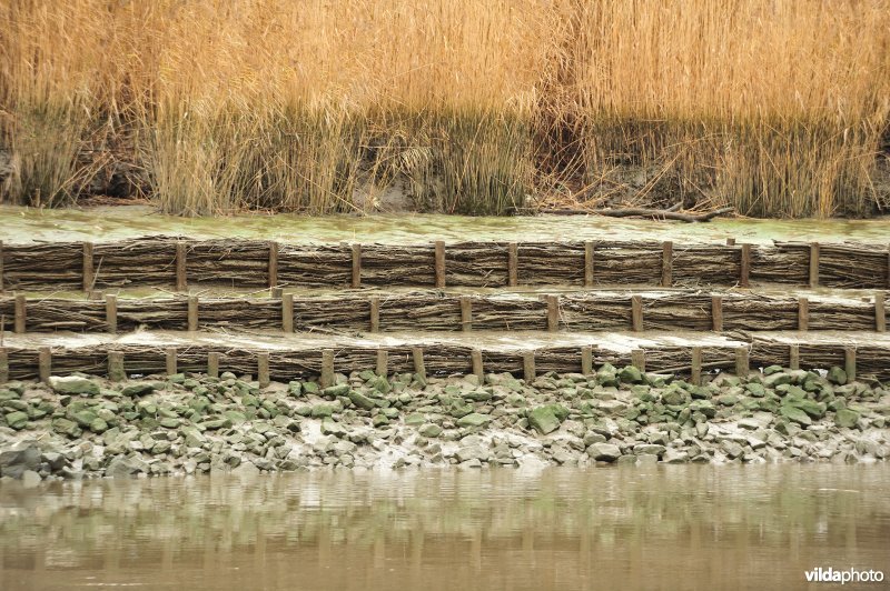 Ecologische oeverafwerking