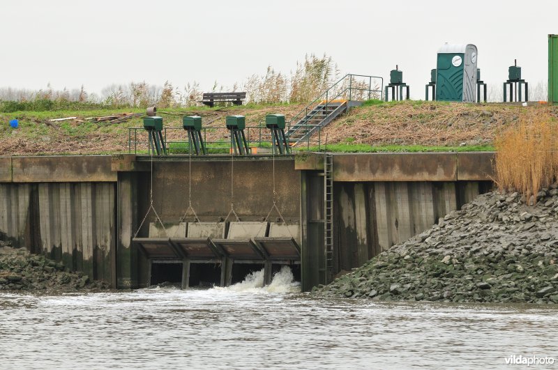 Overstort op de Schelde