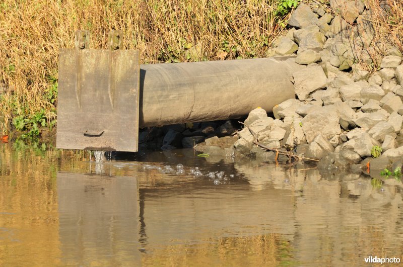 Overstort op de Schelde