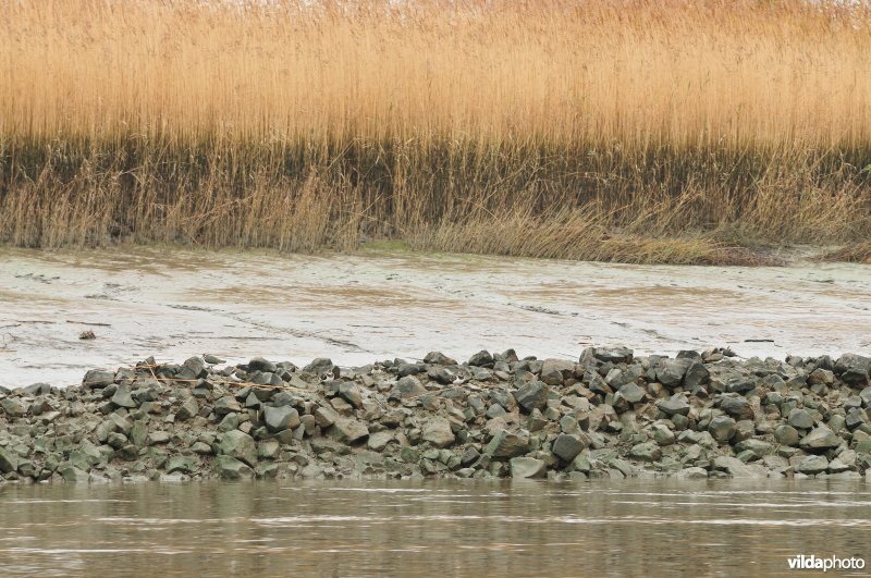 Schelde met steenstortoever