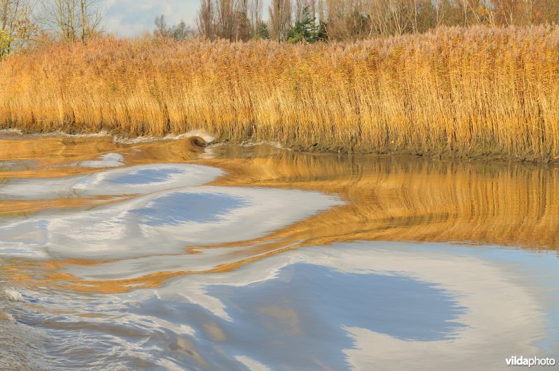 Golfslag op de Schelde