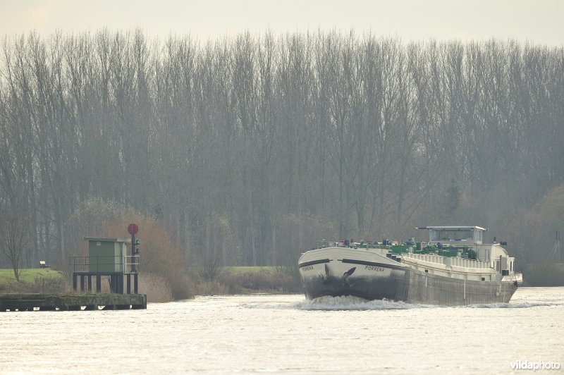 Vrachtboot op de Schelde