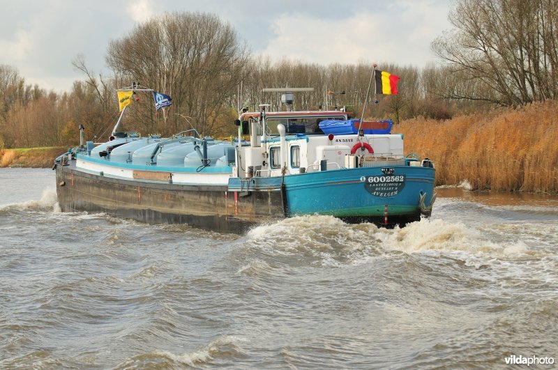 Vrachtboot op de Schelde