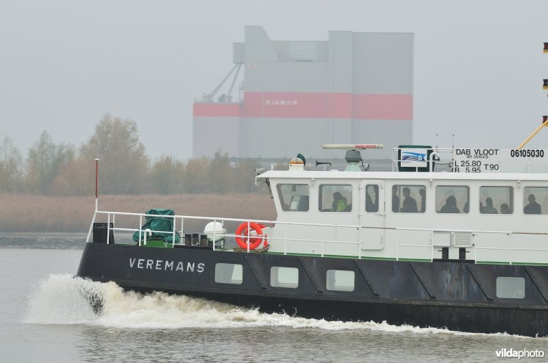 Zeeschelde in de Haven van Antwerpen