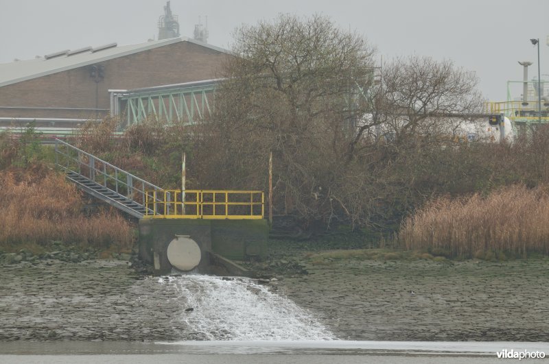 Zeeschelde in de Haven van Antwerpen