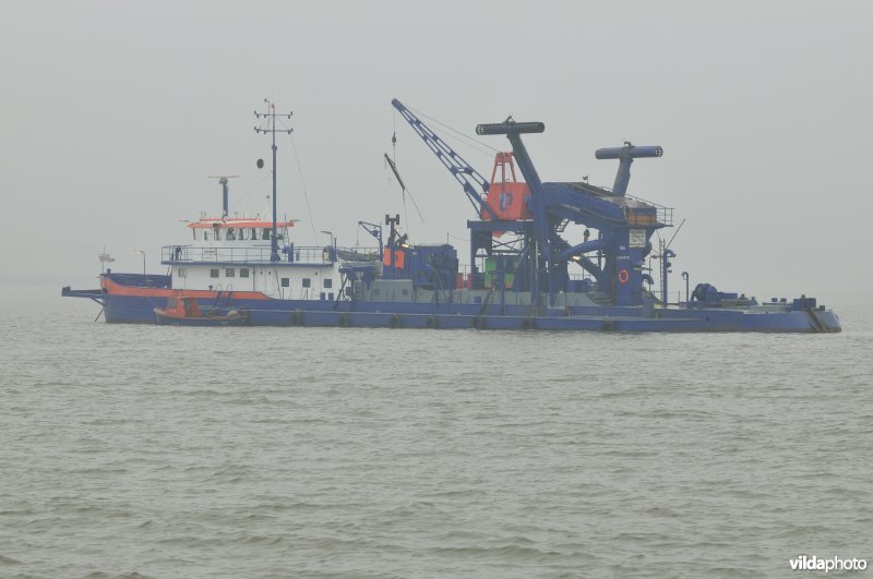 Zeeschelde in de Haven van Antwerpen