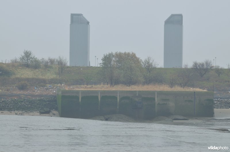 Zeeschelde in de Haven van Antwerpen