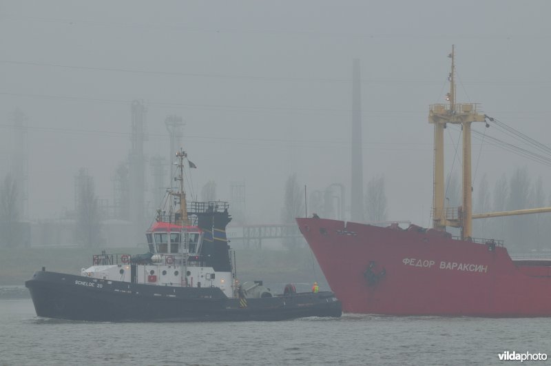 Sleepboot op de Schelde