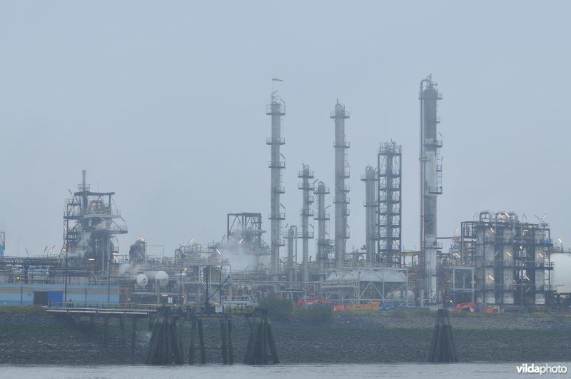 Zeeschelde in de Haven van Antwerpen