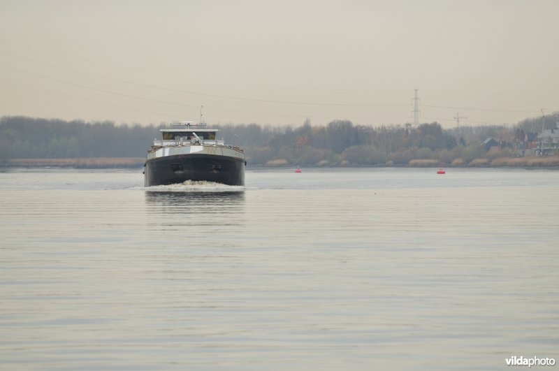 Vrachtboot op de Schelde