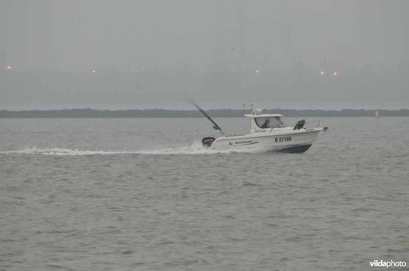 Plezierbootje op de Zeeschelde in de haven van Antwerpen