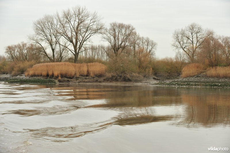 Stort van Weert