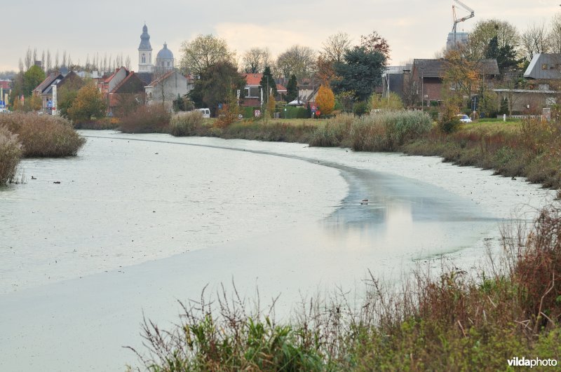 Dichtgeslibde Schelde te Sint-Amandsberg