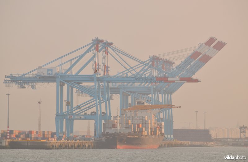 Kranen in de voorhaven van Zeebrugge