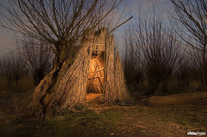 Griendwerkershutje in de Biesbosch