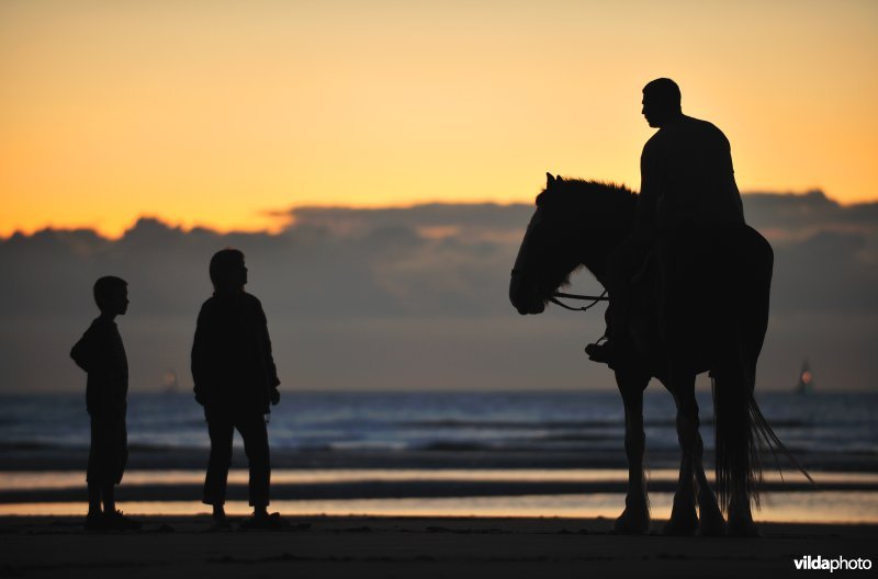 Ruiter op het strand van Koksijde