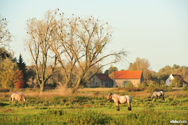 Valkenhuishoeve