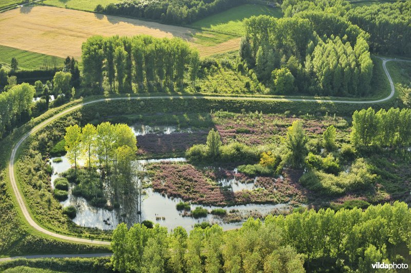 Luchtfoto van het Lippenbroek