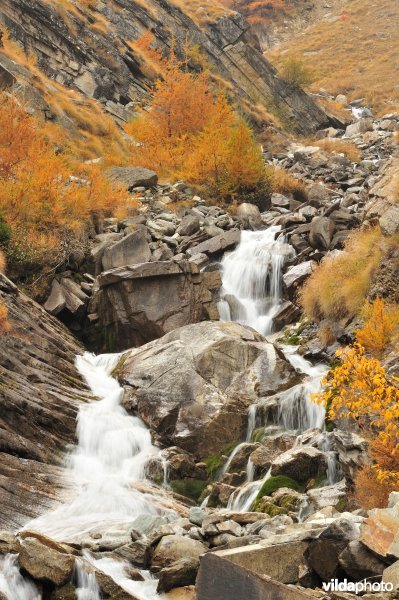 Nationaal park Gran Paradiso