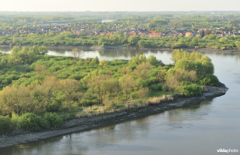 Sint-Amandsschoor