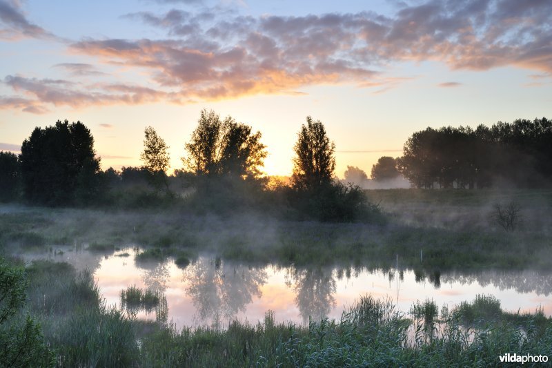 Lippenbroek