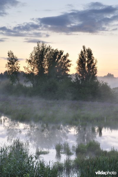 Lippenbroek