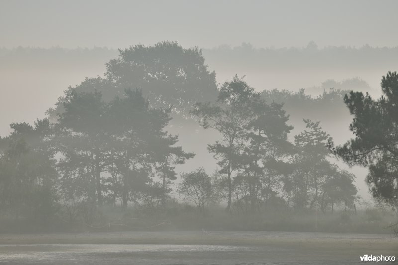 Ven Kleine Klotteraard