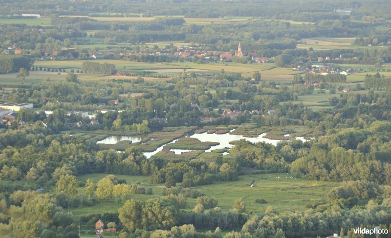 Molsbroek in Lokeren