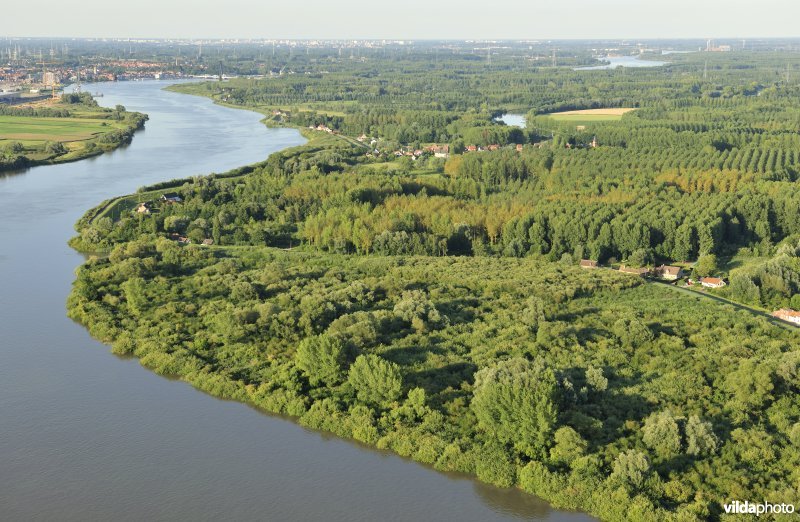De Schelde aan het Stort van Weert