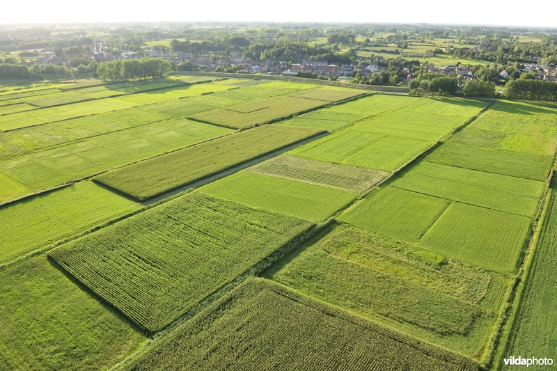 Potpolder van Tielrode
