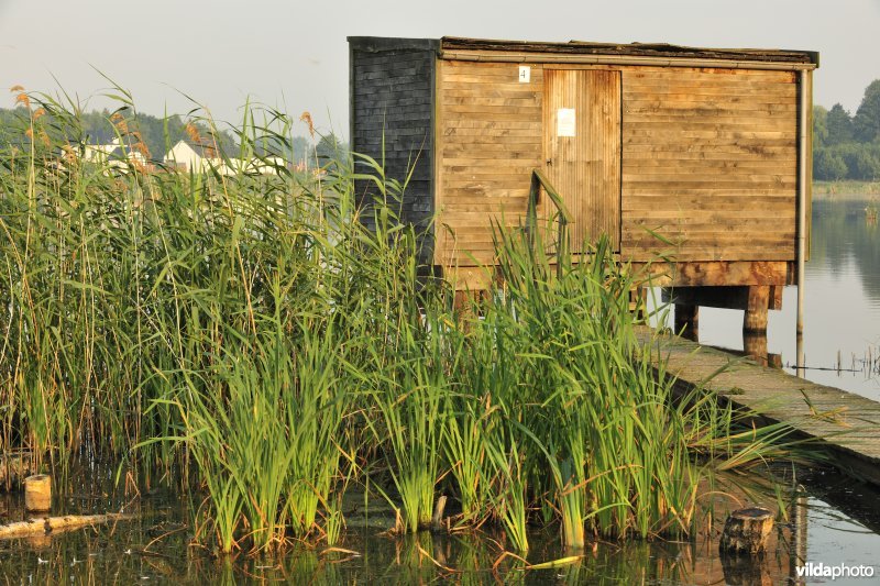 Observatiehut in het Vinne