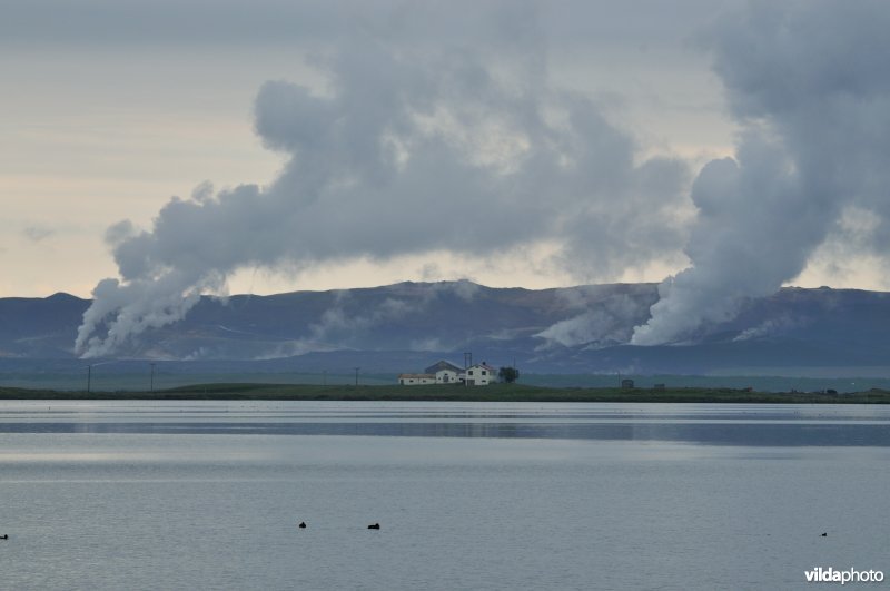 Mývatn meer