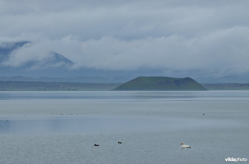Mývatn meer