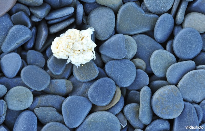 Keien op het strand