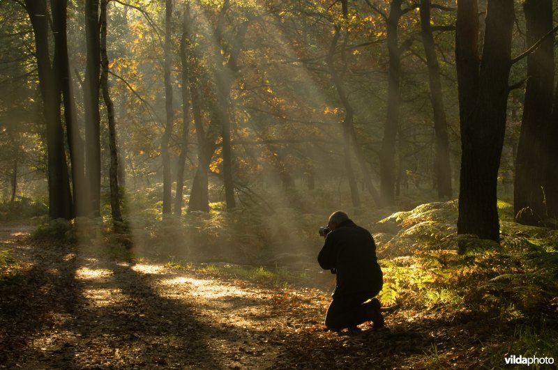 Wandelaar fotografeert zonnestralen