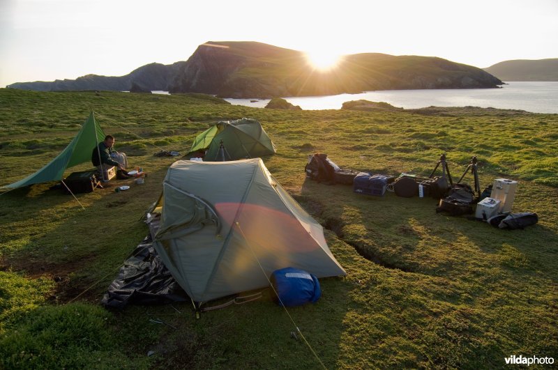 Kamp en materialen op Puffin Island