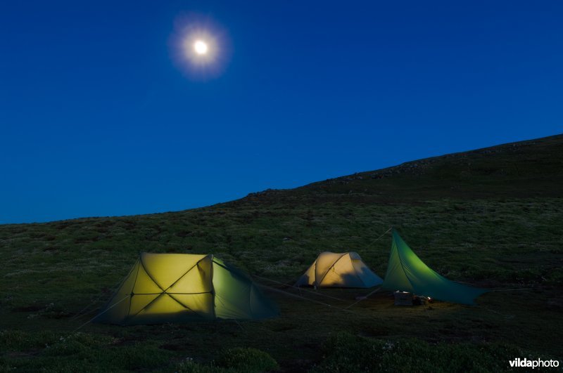 Tenten bij maanlicht