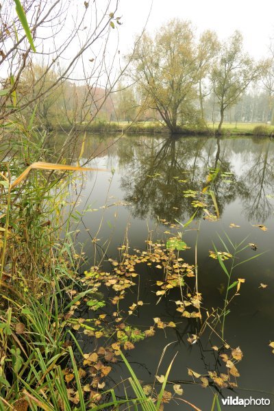 Bazelse Kreek