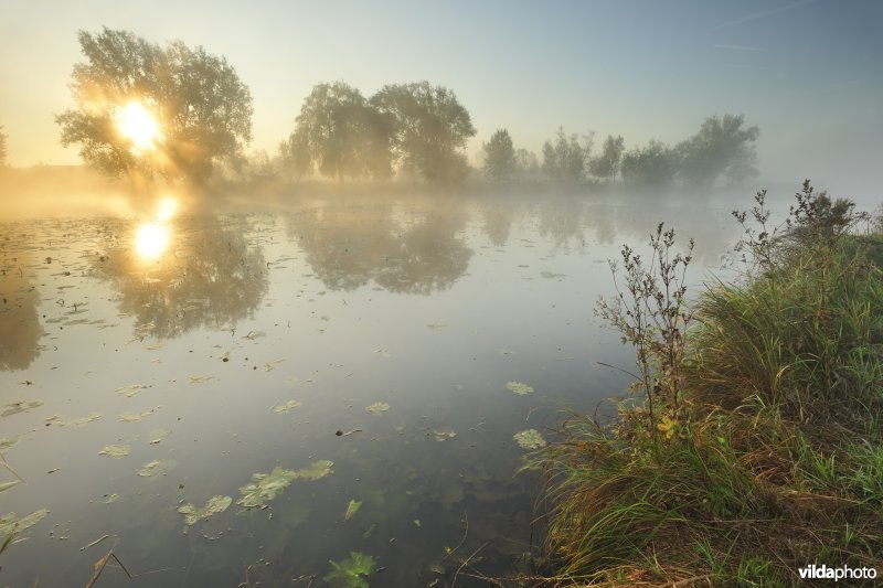 Oude Schelde in de Scherenmeersen