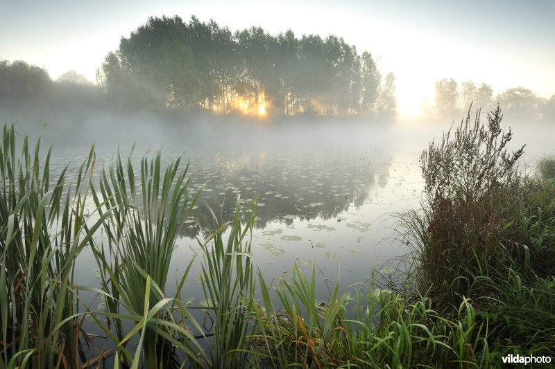 Oude Schelde in de Scherenmeersen