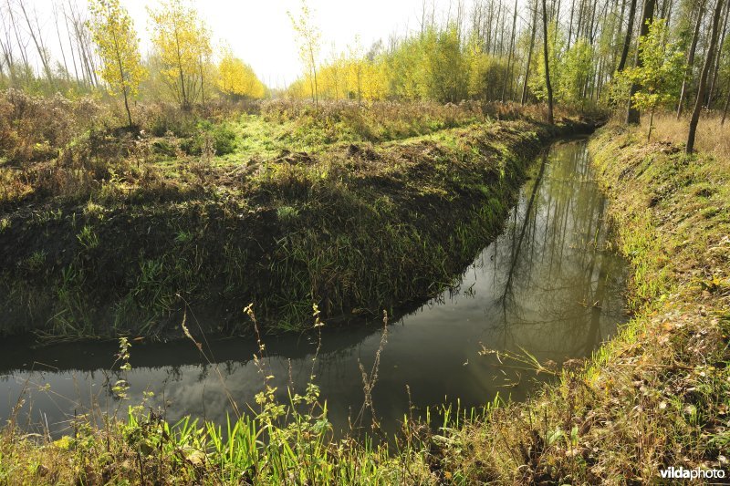 Vlassenbroekse polders