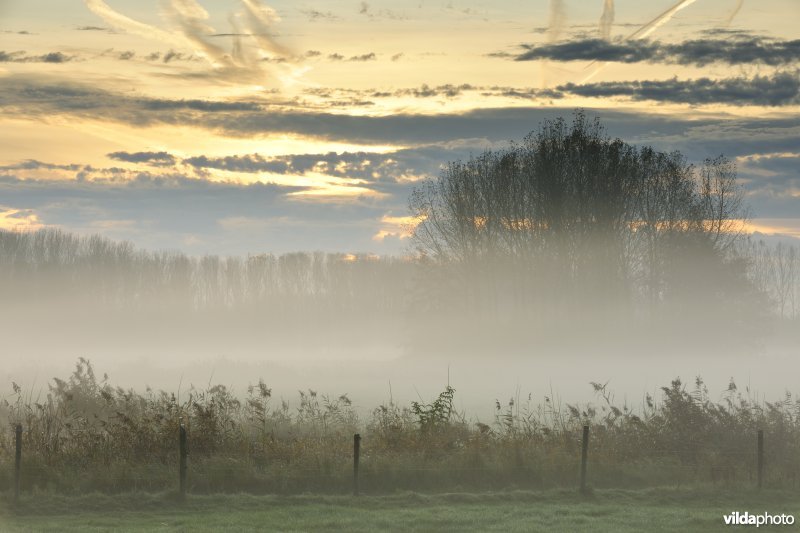 Natuurgebied Weijmeerbroek