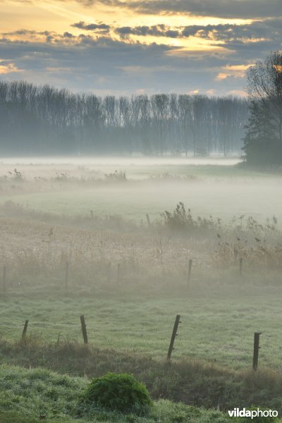 Natuurgebied Weijmeerbroek